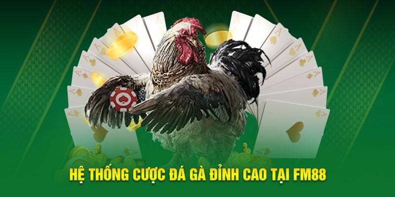 Hệ thống cược đá gà đỉnh cao tại FM88