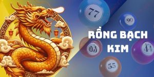 Rồng Bạch Kim Tại FM88 - Công Cụ Soi Cầu Đẳng Cấp 2024